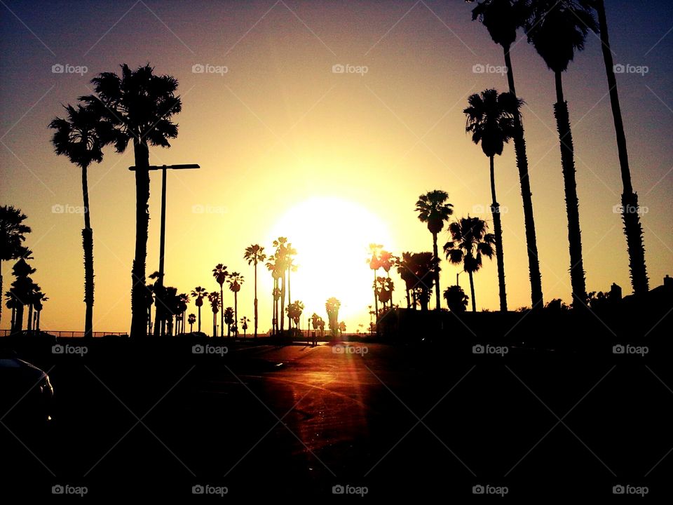 Sunset Burst. Port Hueneme Beach California 