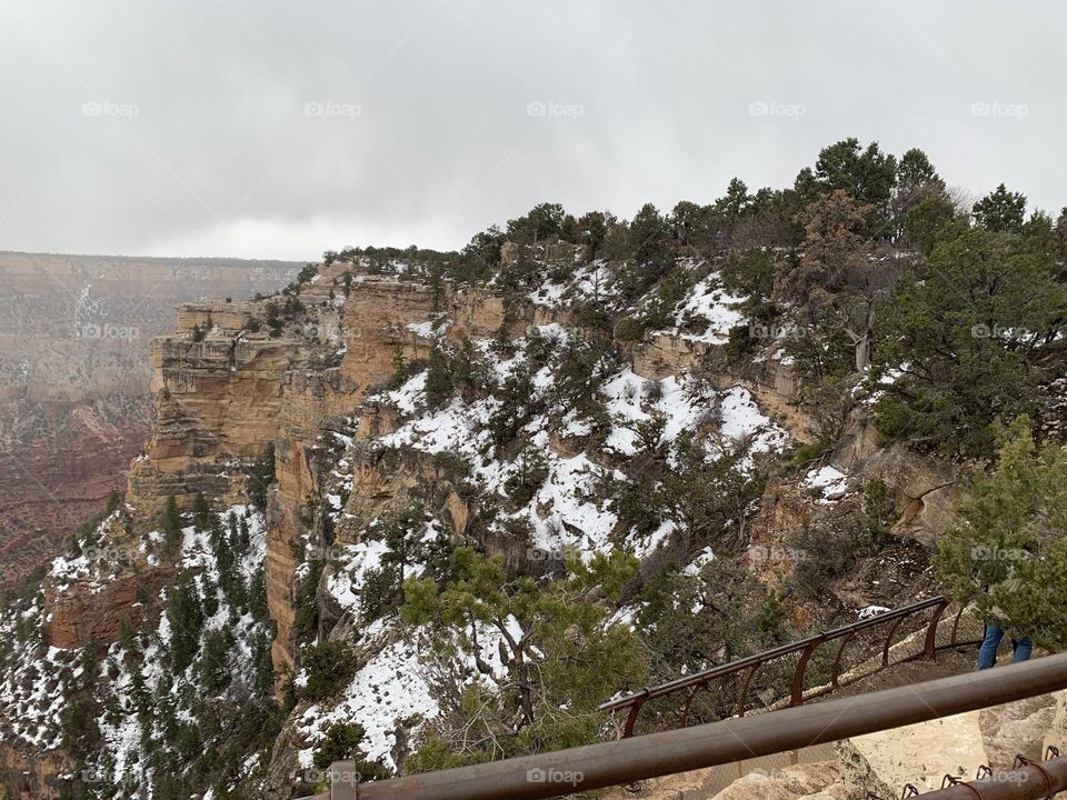 The Grand Canyon covered in fog and white fluffy snow. The South Rim is lined with beautiful green trees.