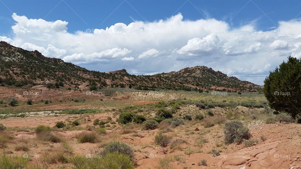 Desert Mountains (Hogback, NM)