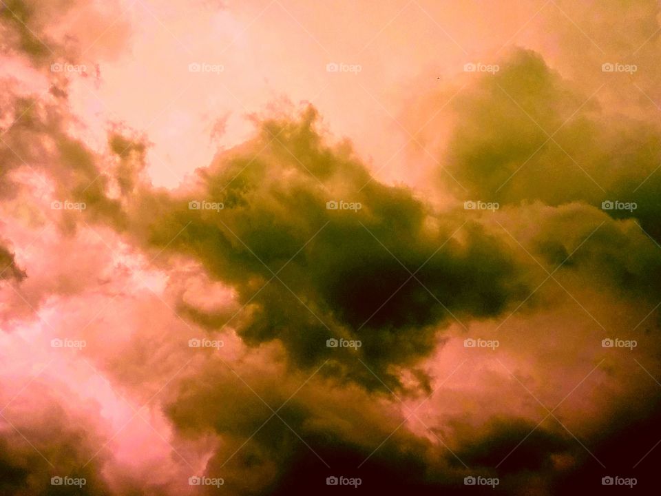 Charge of the sentinel.