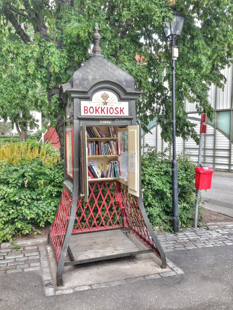 the tiny library