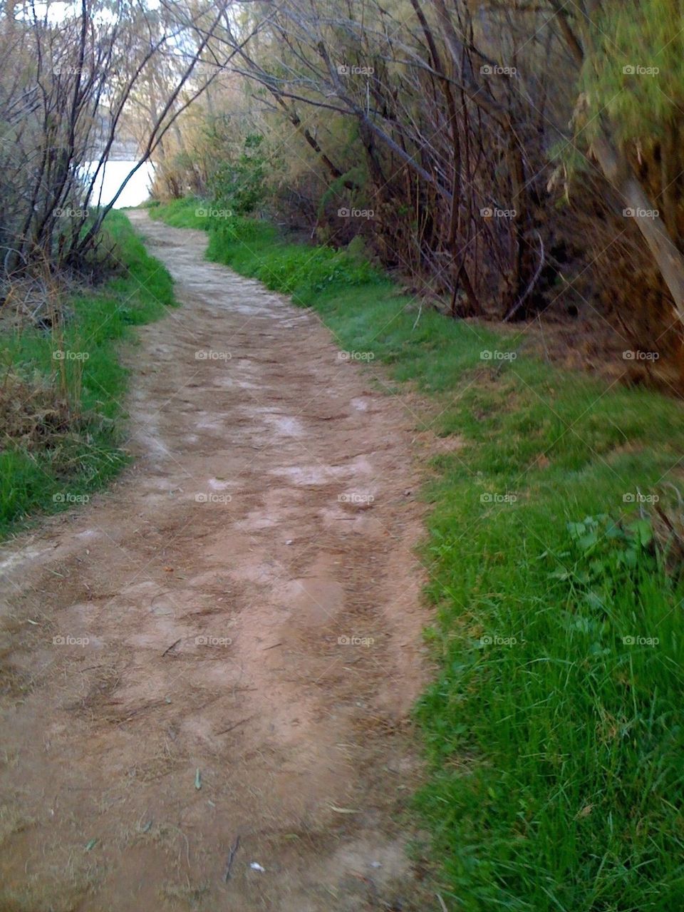 Path
