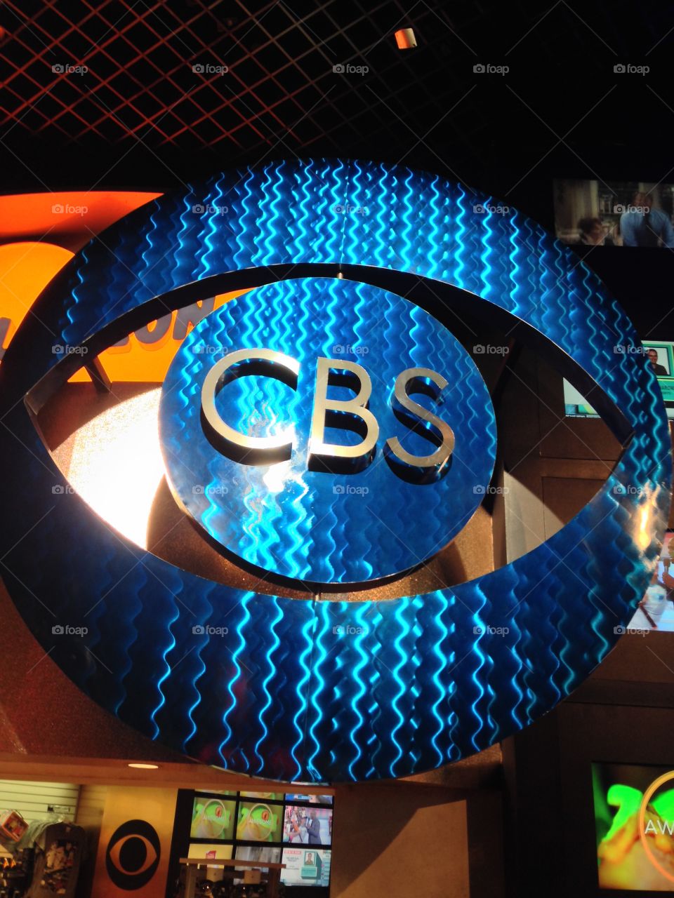 The Media 

Published by:
HappyBrownMonkey 