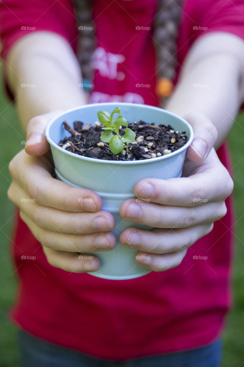 Growing a new plant