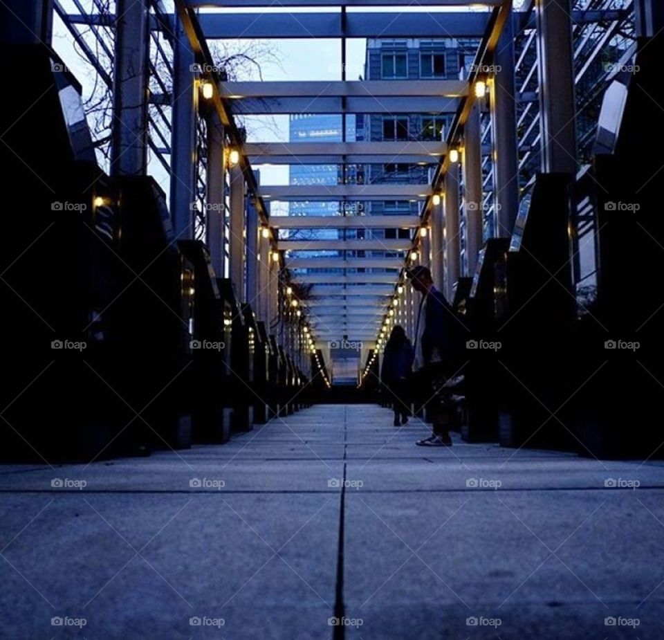 Luxurious Corridor in Montreal