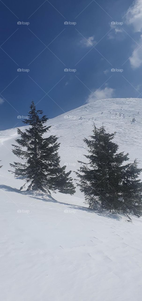 Snow and mountains