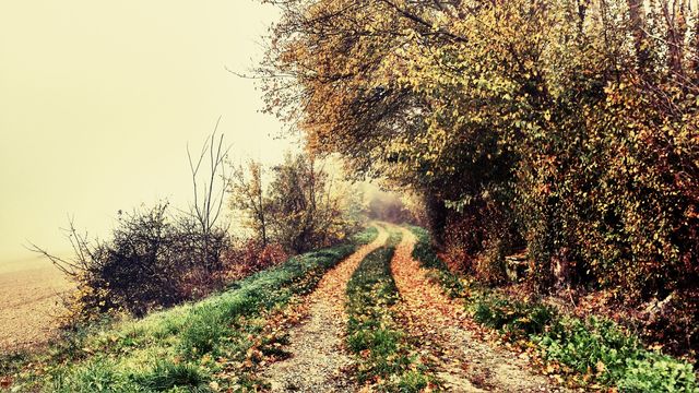 landscape