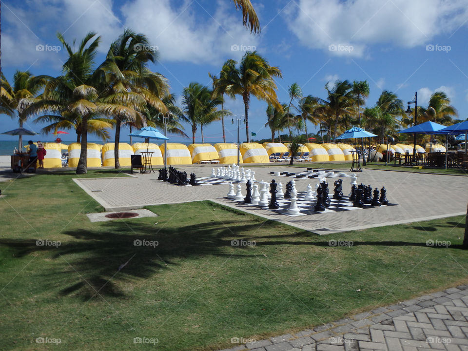 Harvest Caye Belize chess