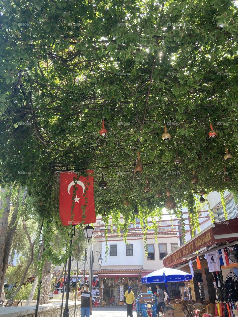 Sunny holidays I’m Turkey. Walk in the cute city and charming streets by the beach in Kusadasi. perfect blue sky and ocean view. Beach and the shore. To travel is to live. Gorgeous tall palm trees.