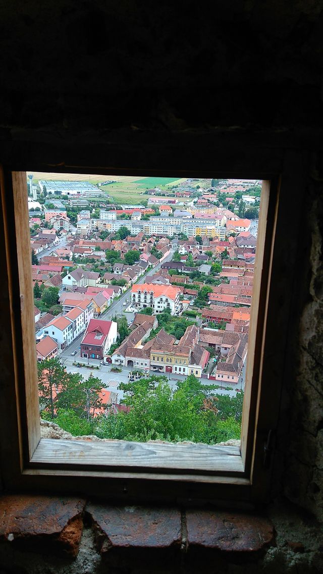Window