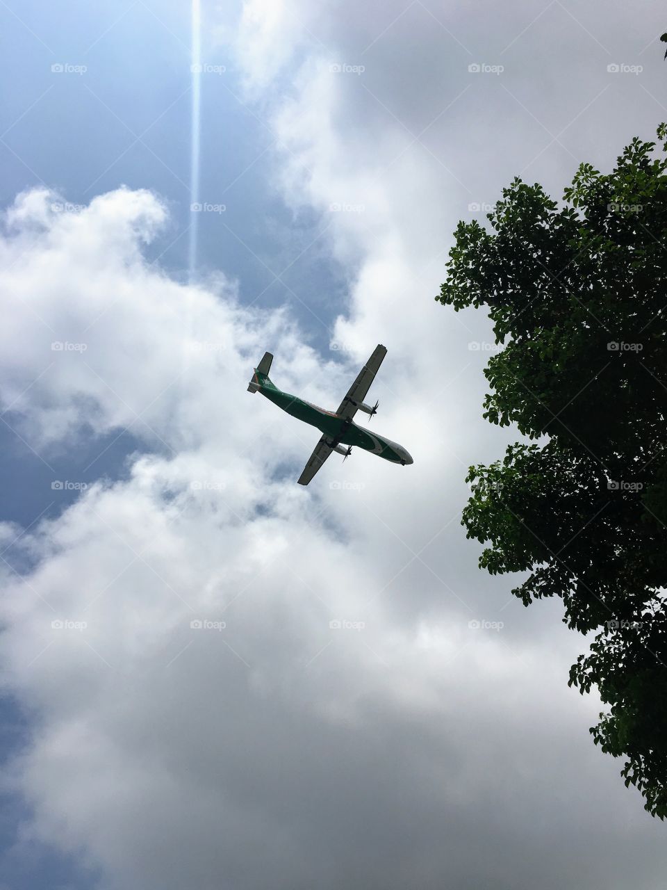 Catching my flight by capturing his wings on my camera phone, this was taken during one of my holidays.