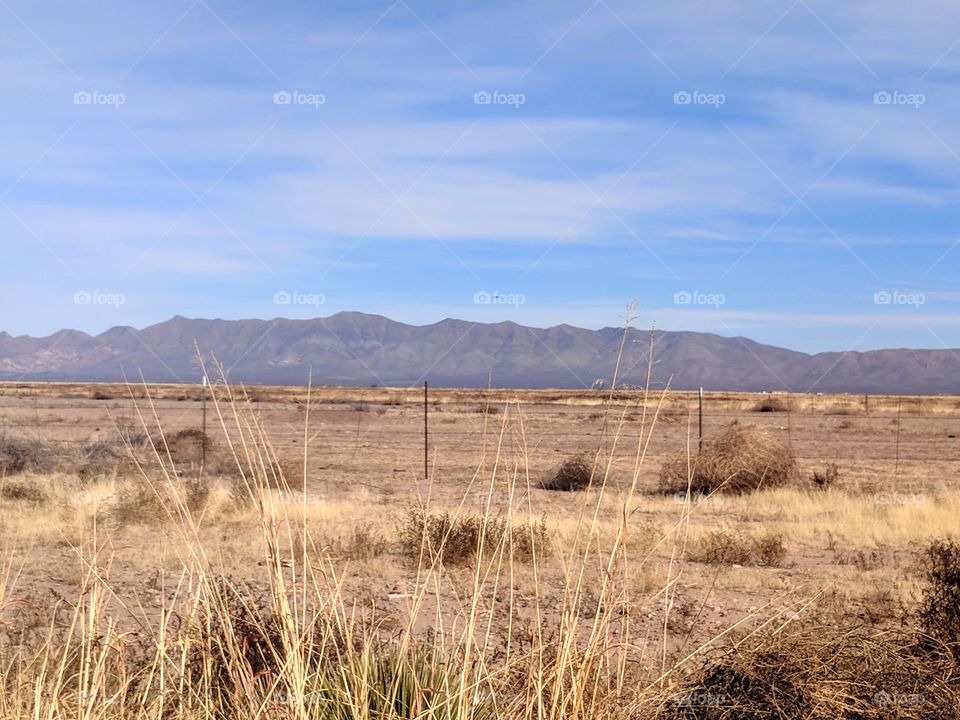 AZ Desert Views