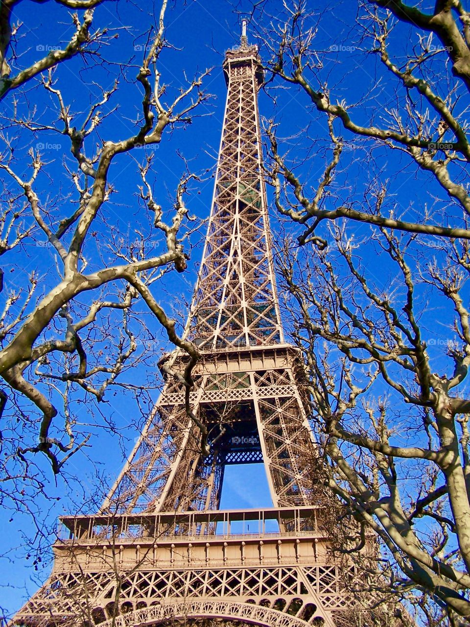 Eiffel Tower (Framed), Paris, France