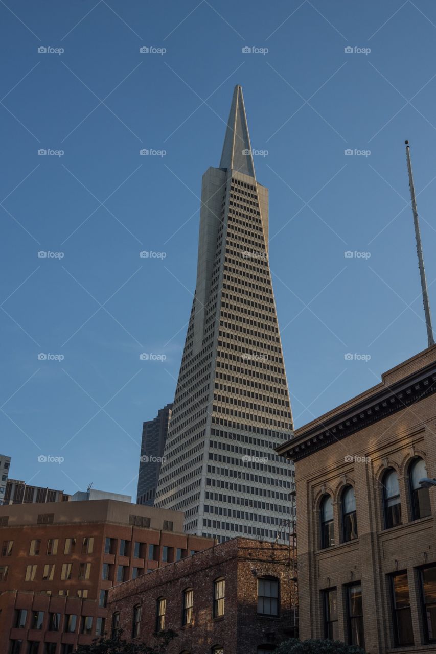 Transamerica Pyramid 