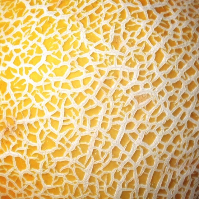 Melon skin