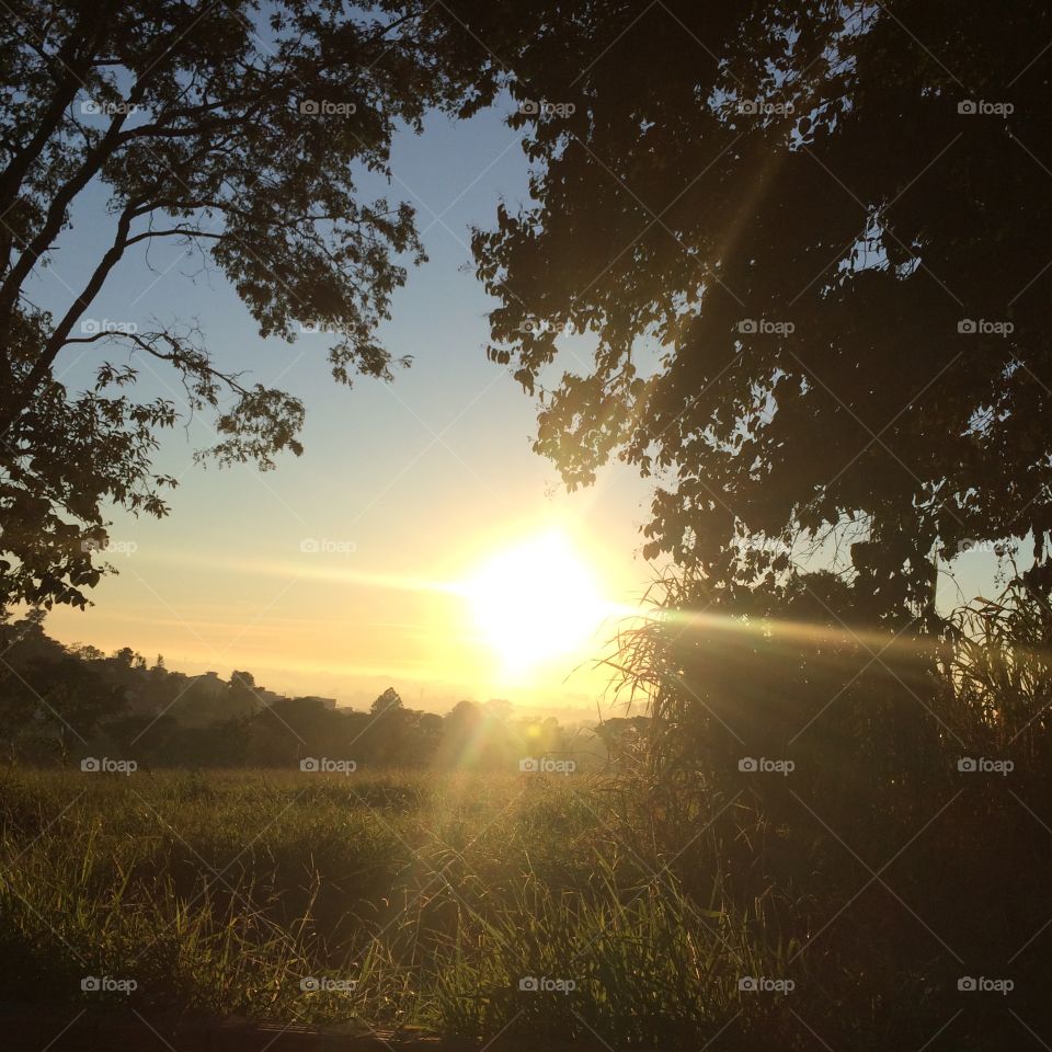 ☀️#Sol muito bonito de #natureza e #beleza indescritíveis.
Obrigado, #MãeTerra. 
🌱
#inspiração #amanhecer #morning #fotografia #paisagem #sun #céu #landscapes