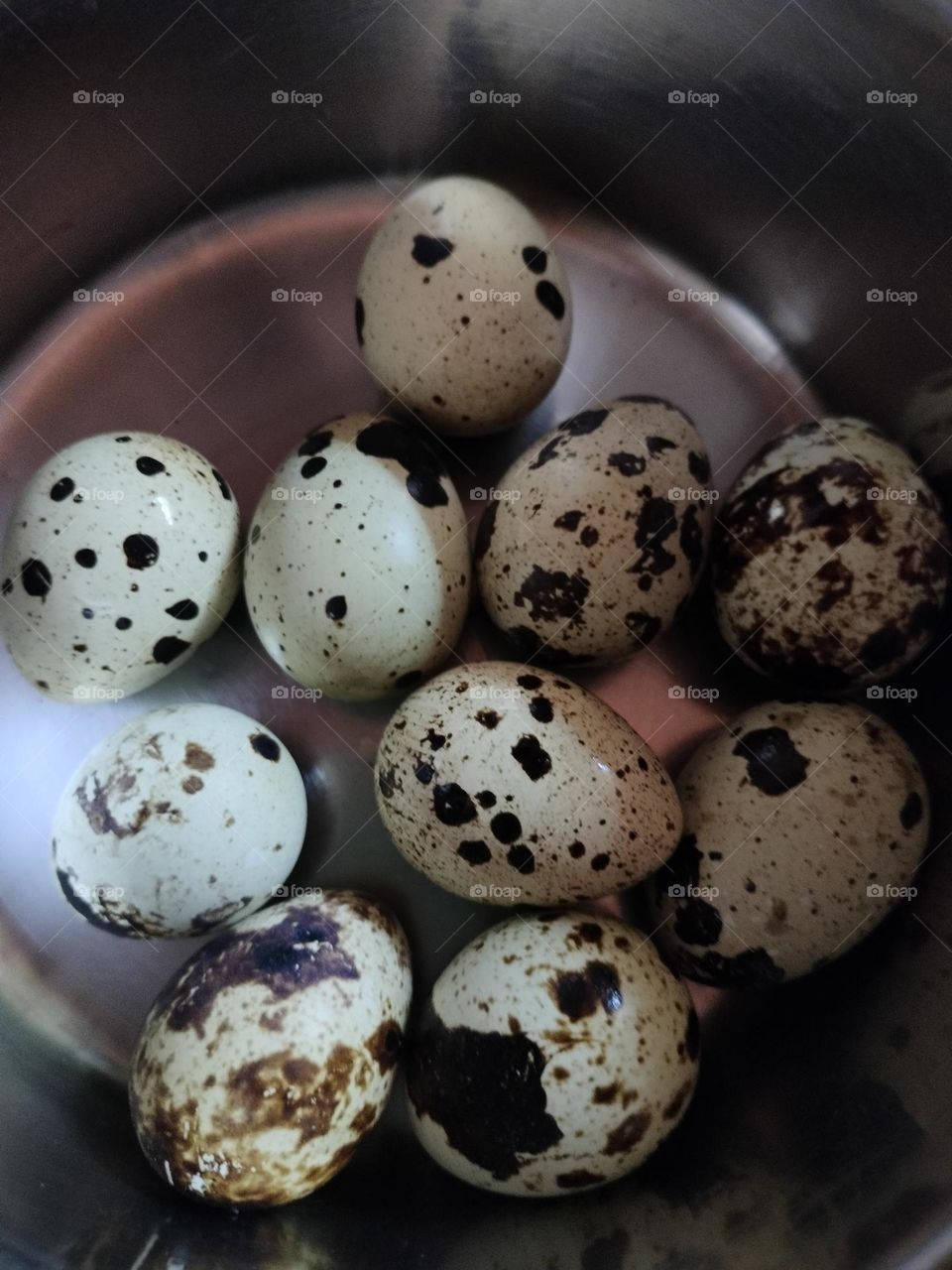 eggs