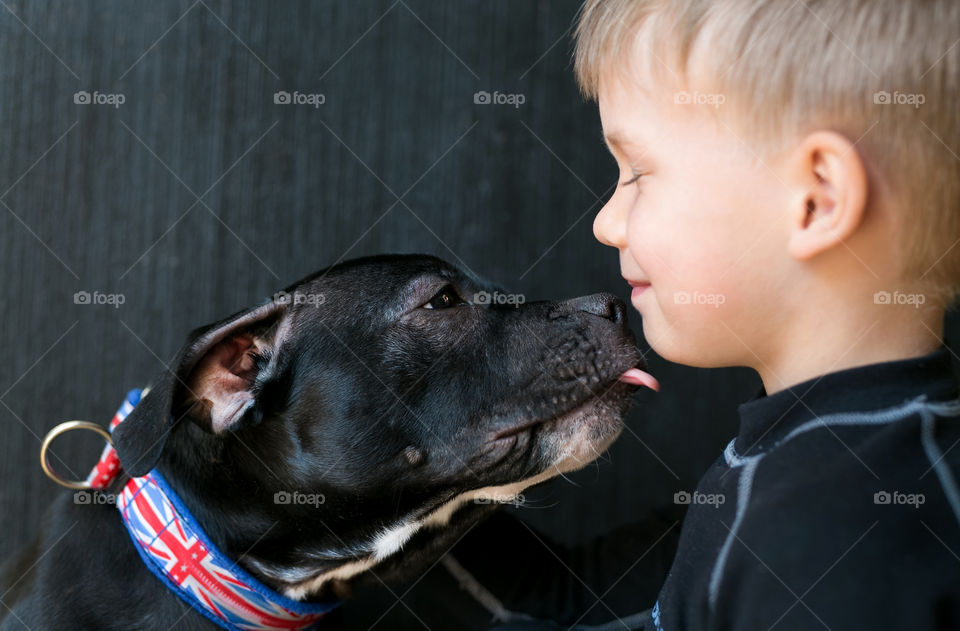 Little dog kissing boy