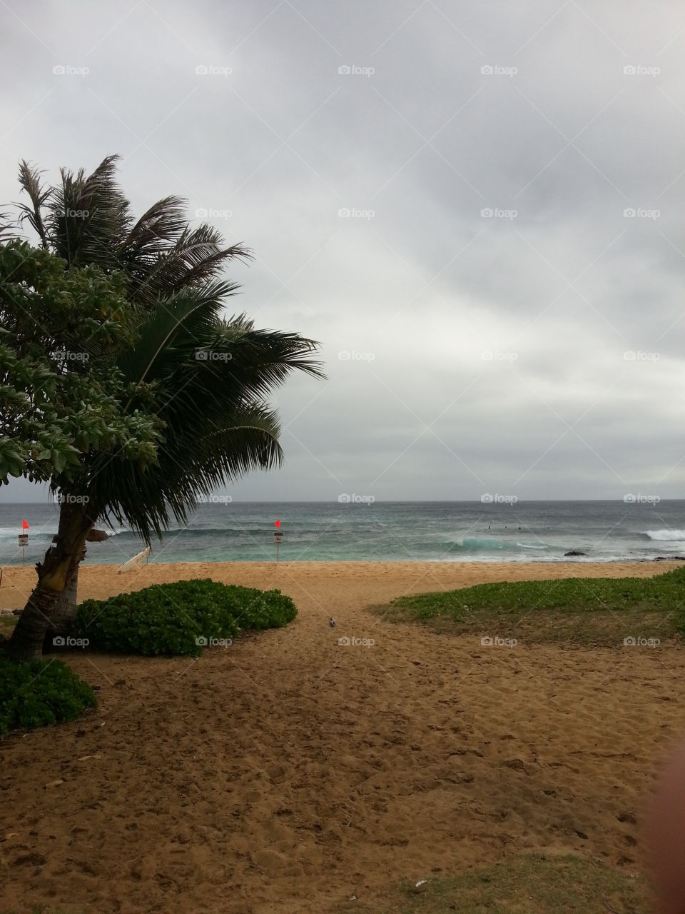 Windy in Hawaii
