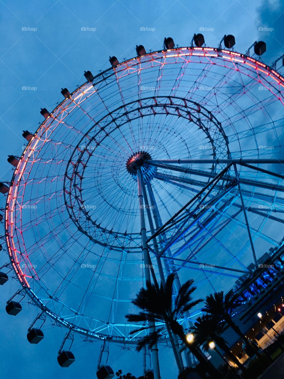 Orlando Eyecon light up in rainbow for pride largest wheel ride