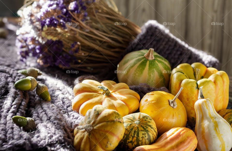 Autumn gourds, knitwear & dried flowers