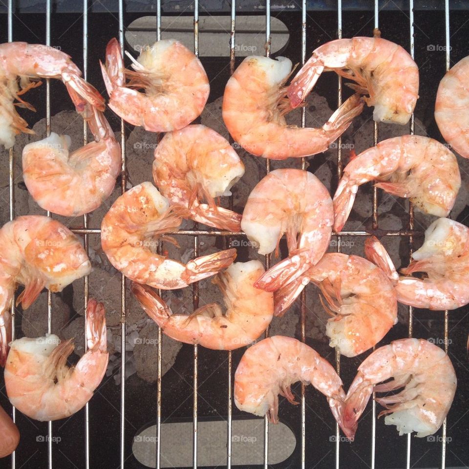 Shrimp