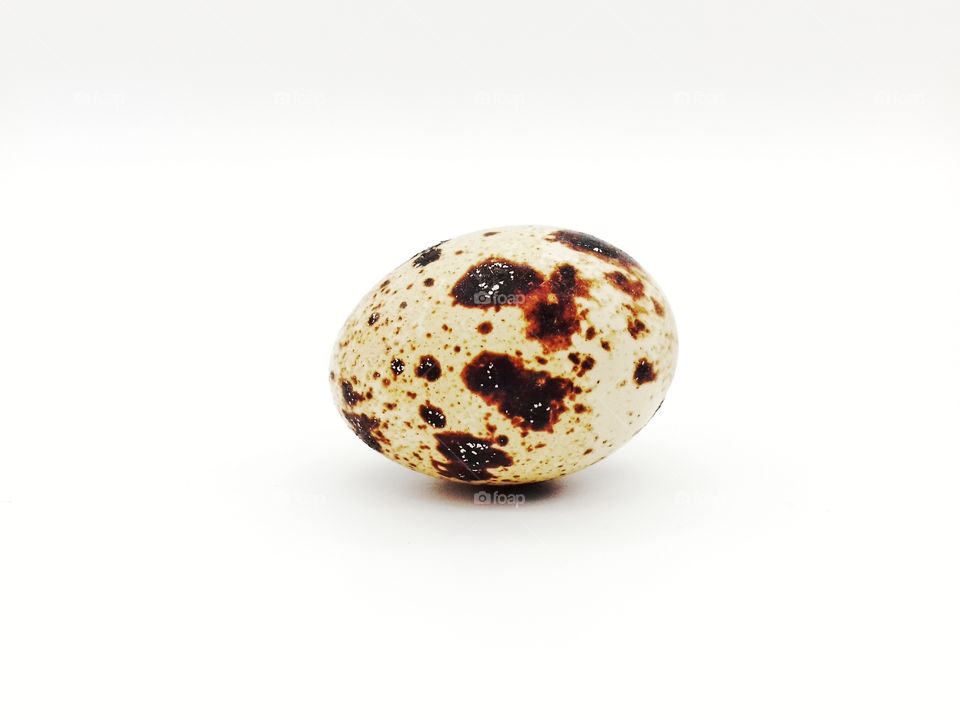 the little quail egg on white background