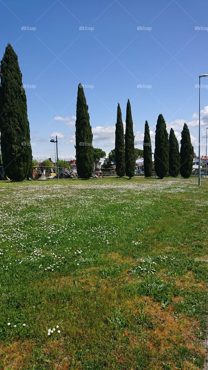 gardens, Italian natural parks, inspiring exteriors cemetery
