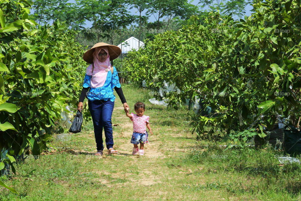 woman and his daughter walk around rose apple field