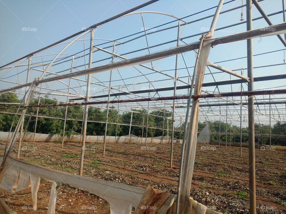 Structure of the greenhouse