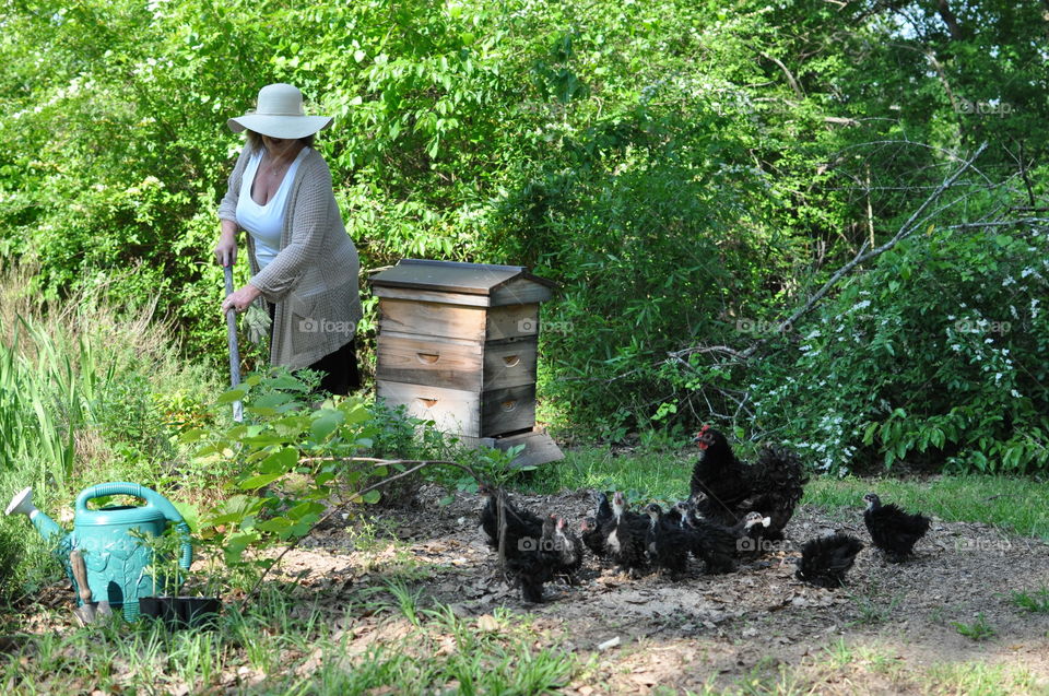 Gardening 