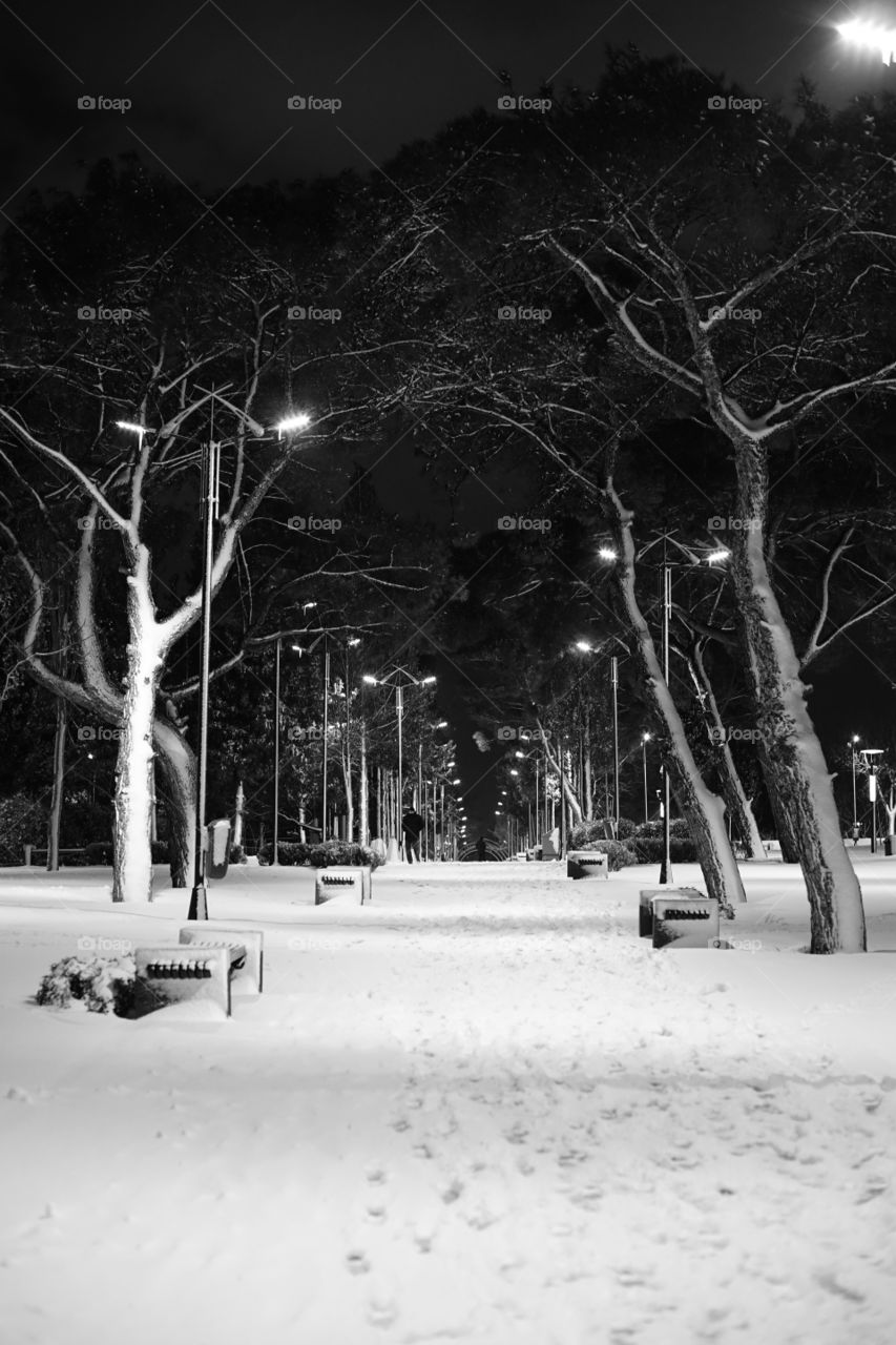 Wide angle winter view park white and black 