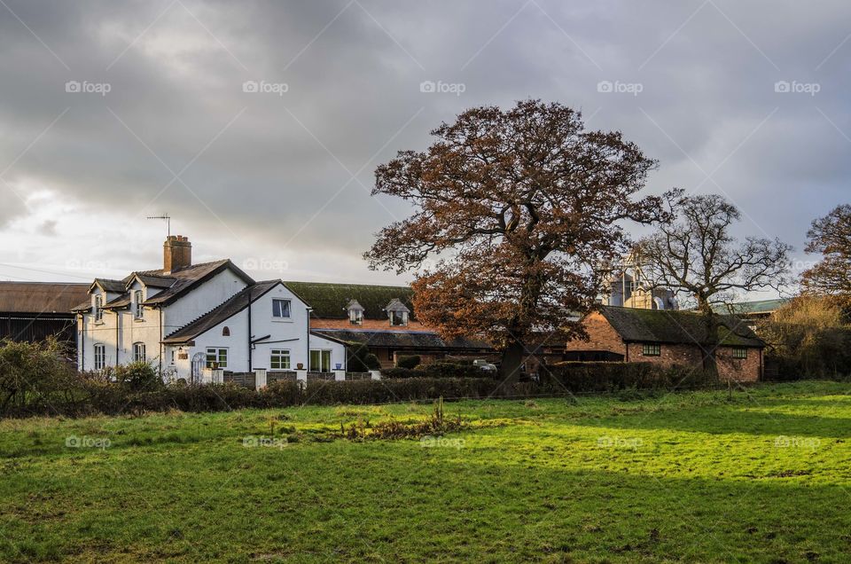 Farm. Farmhouse