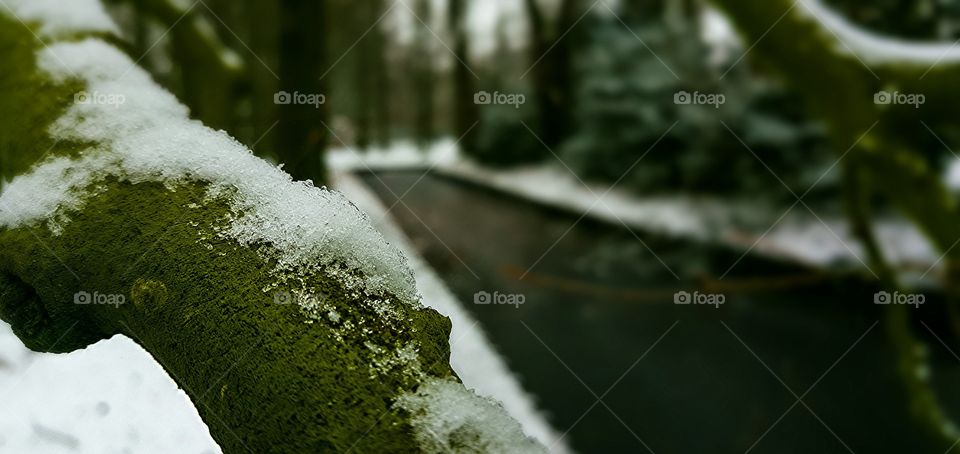 Snow Scene Macro