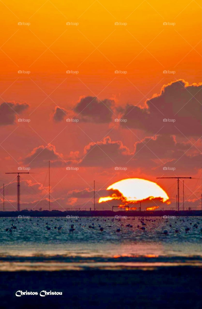Flamingo Akrotiri Limassol Salt Lake Big Sunset 