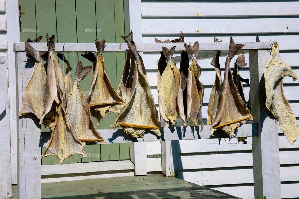 Fish hanging to dry. 