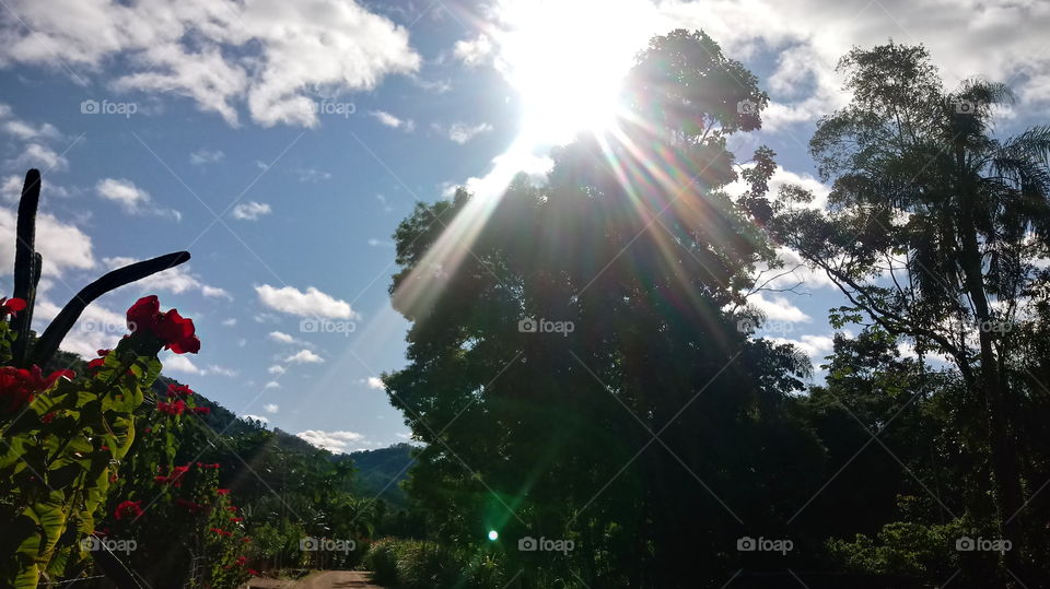 SUNBEAM heller Sonnenstrahl