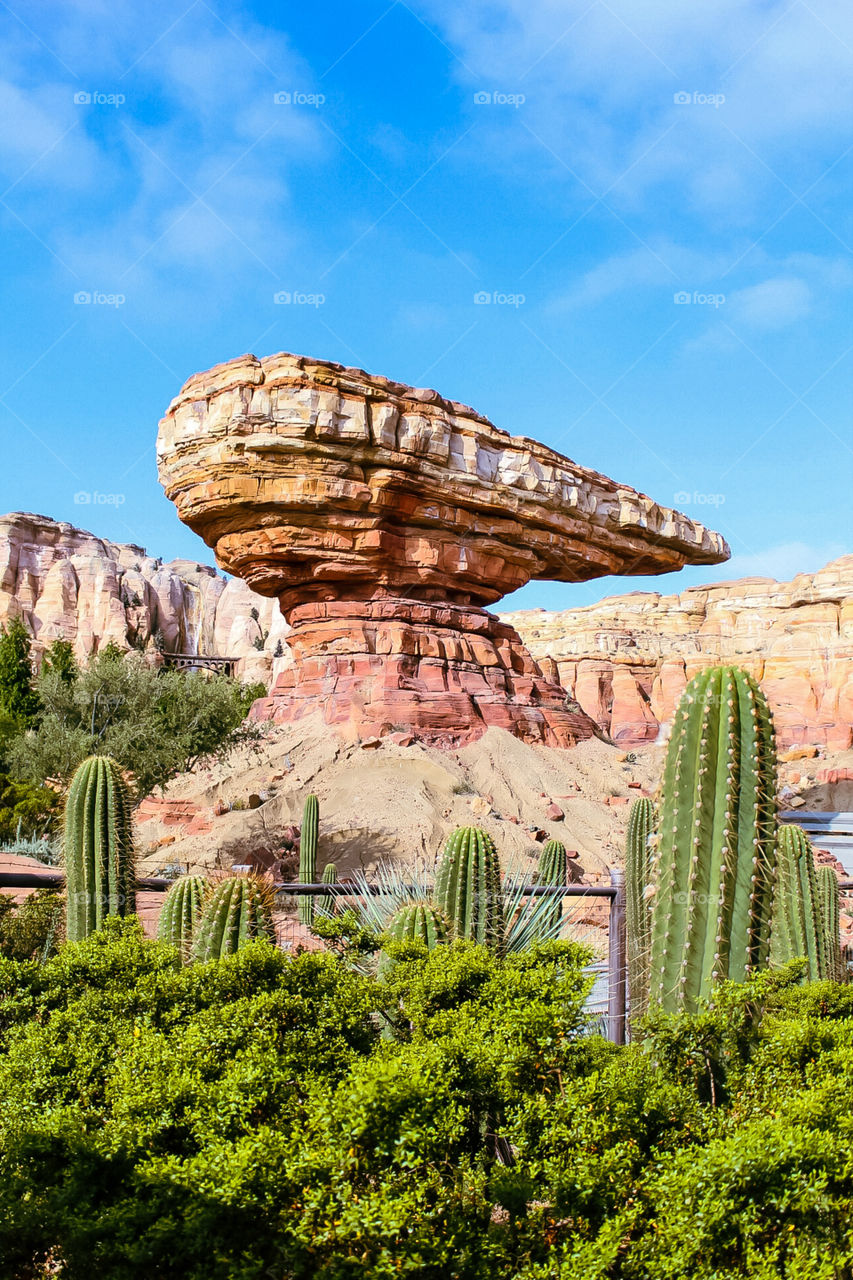 Find me in the desert 