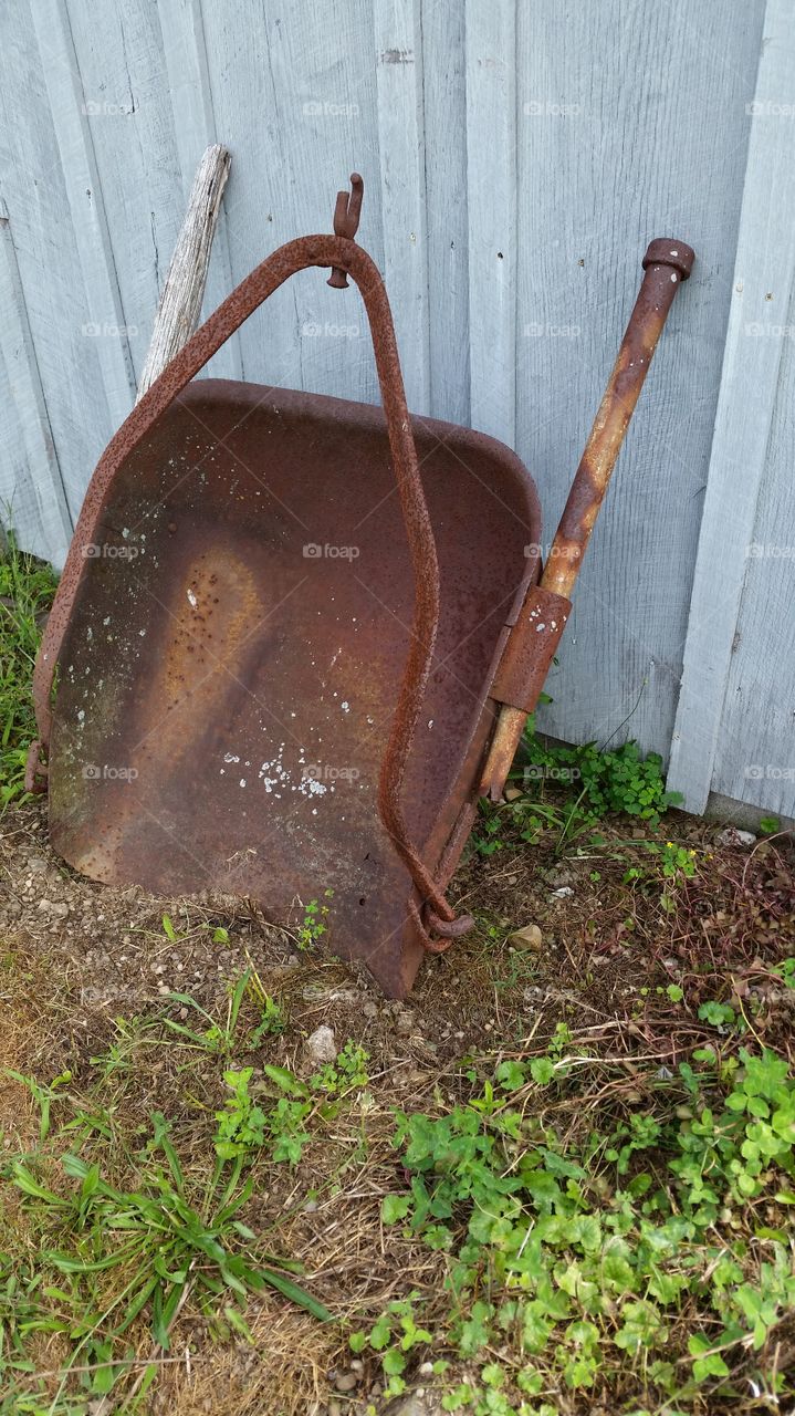 harvest sled. quaint orchard 