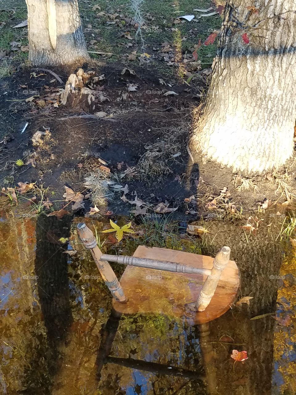 chair in water