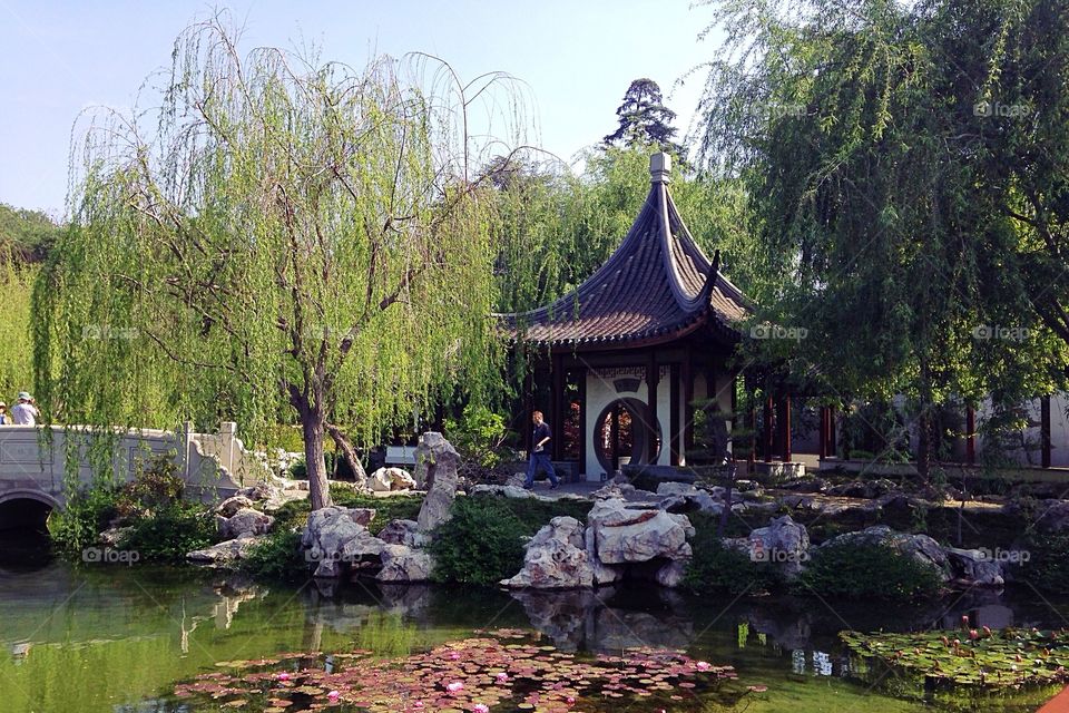 Chinese garden 