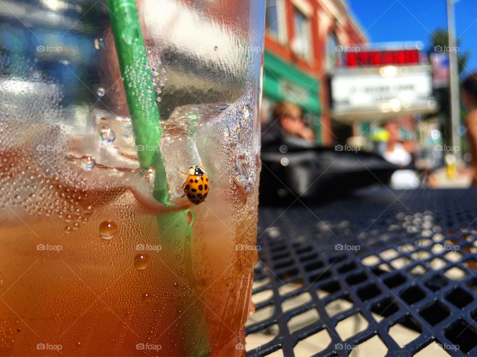 Iced coffee ladybug