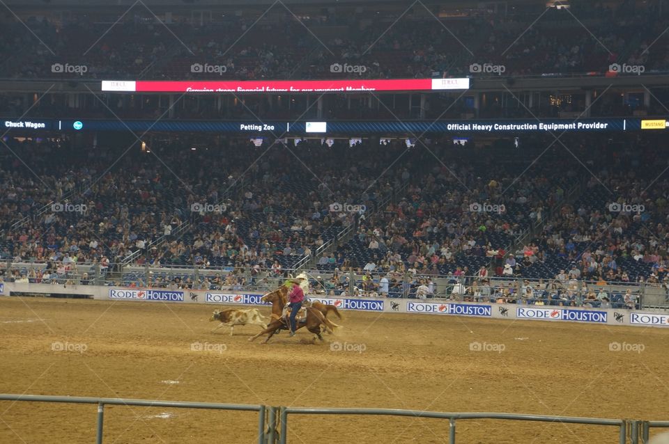 Houston Livestock Show and Rodeo 