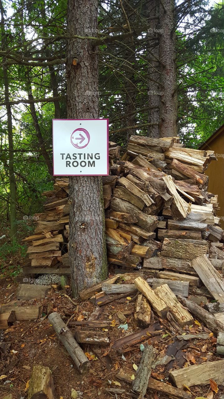 Sign pointing the way to the tasting room at a winery.