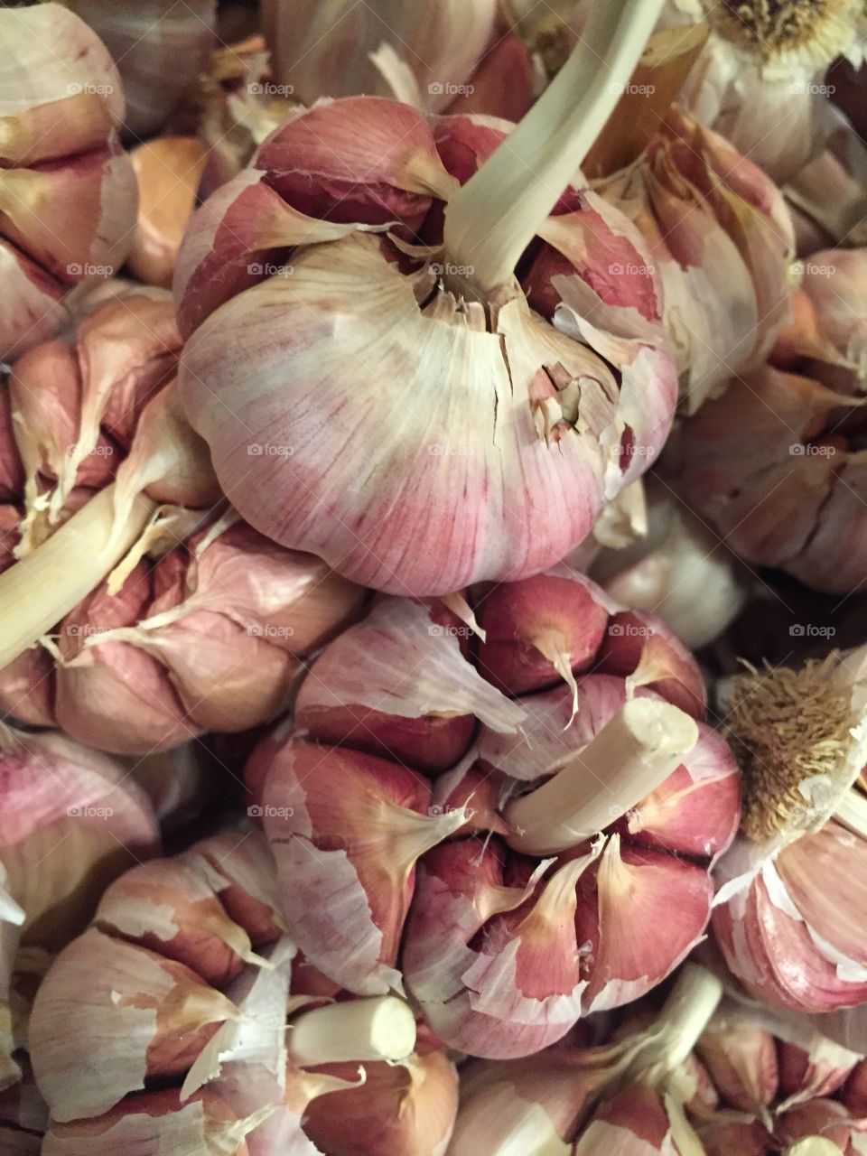 Only garlic 