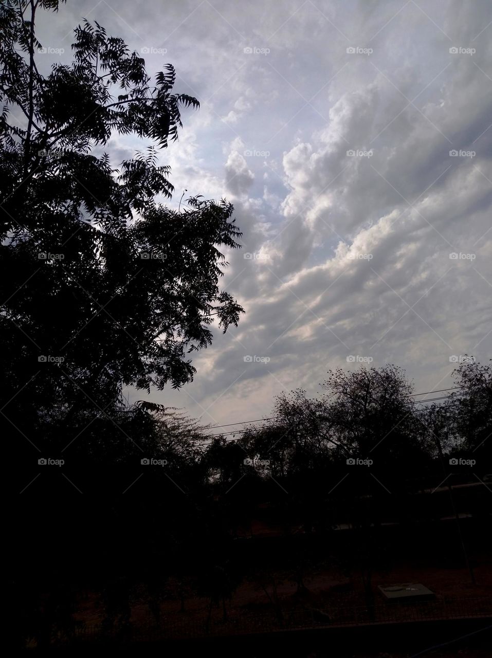 sun set scene whites cloud scattered dark tree looks very beautiful whites shining blue sky