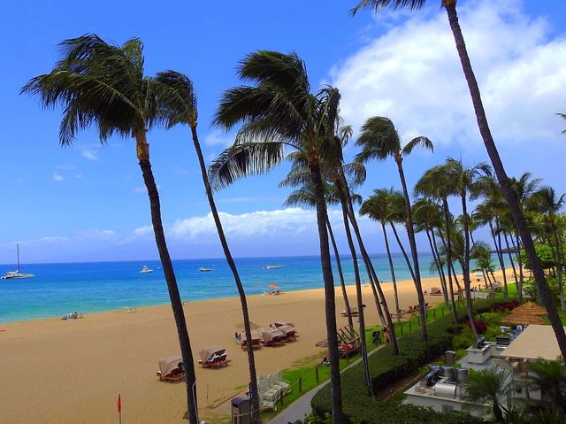 Maui