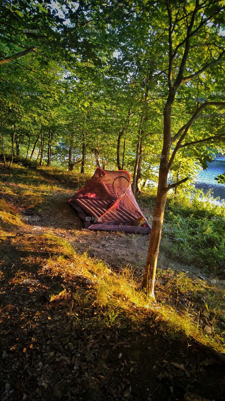 Wilderness campsite.