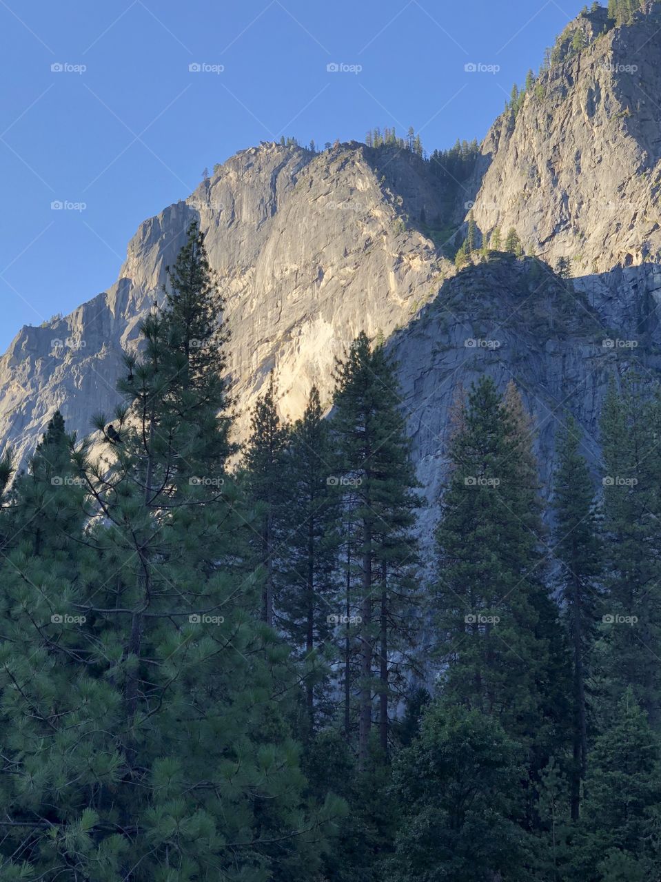 El Capitan at Daybreak
