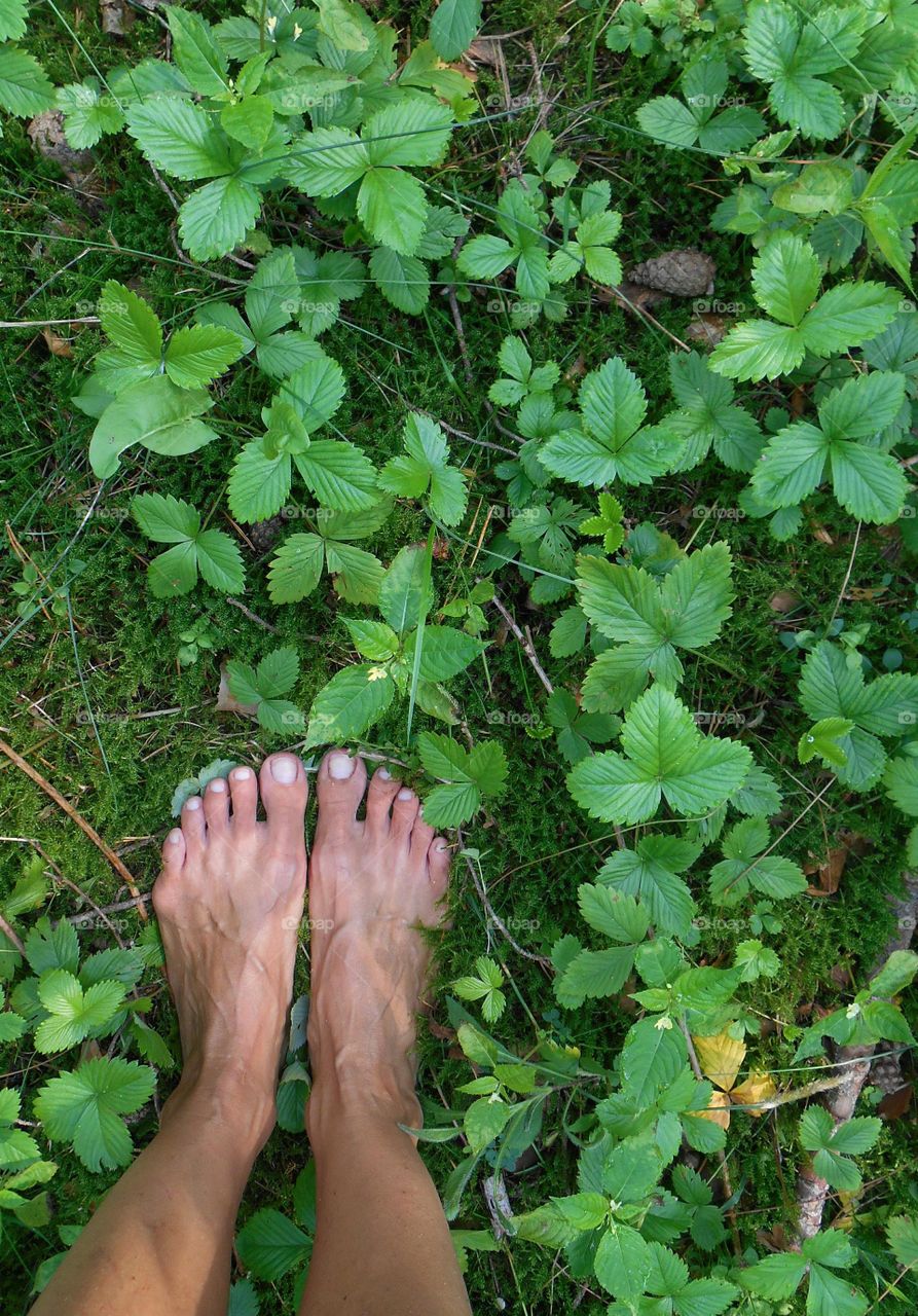 bare feet and green leaves background